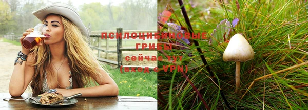 дурь Аркадак